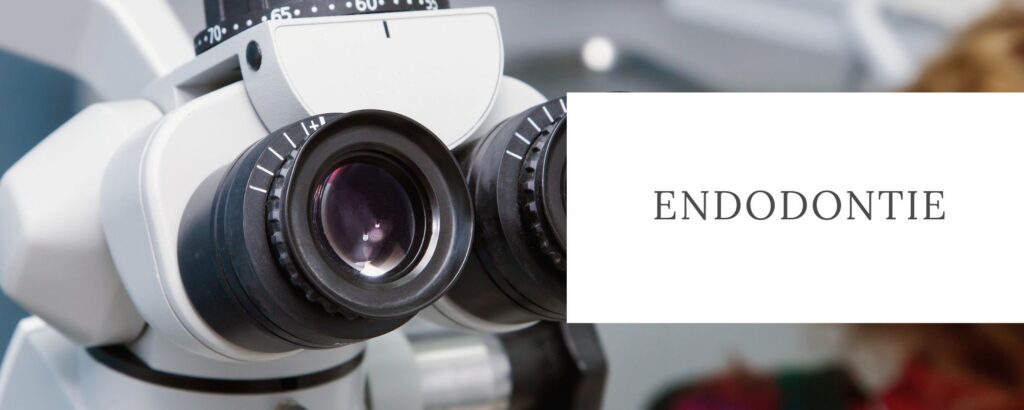 endodotnie Cabinet Dentaire de la Lone - dentiste - Boulbon