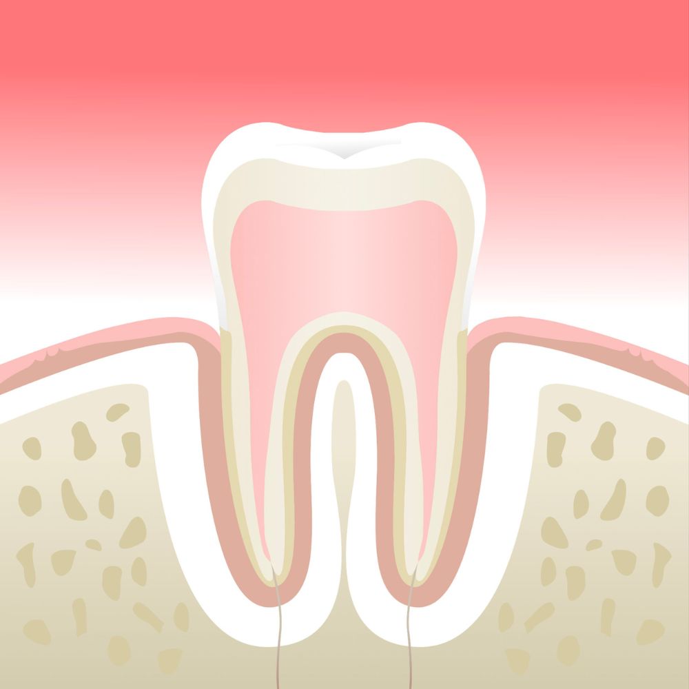 parodontologie Cabinet Dentaire de la Lone - dentiste - Boulbon
