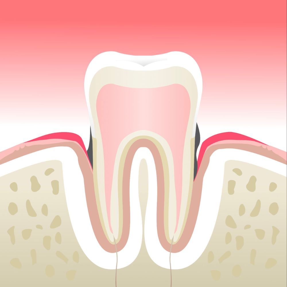 Prodontologie Cabinet Dentaire de la Lone - dentiste - Boulbon